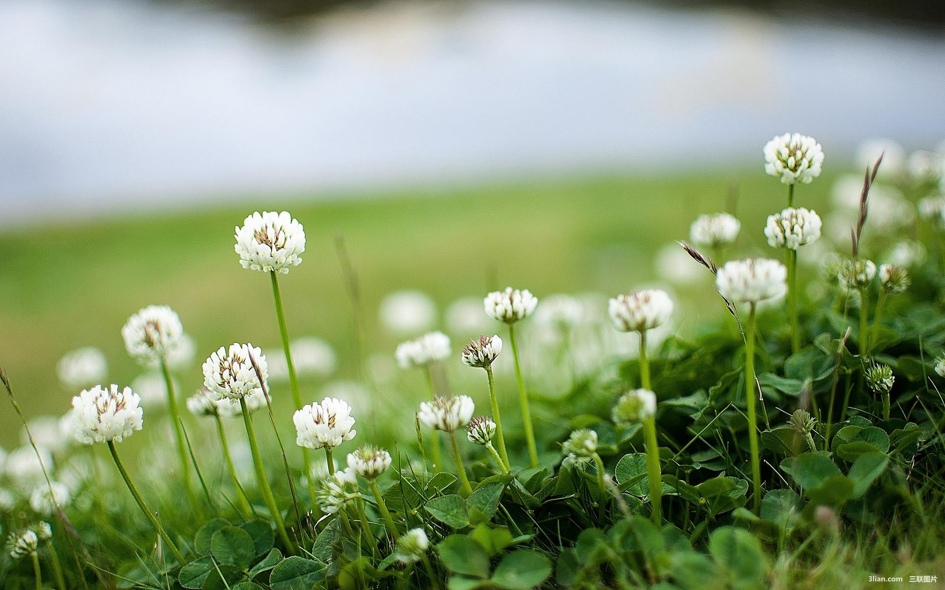 你还在网上买什么,你还在某宝买东西吗