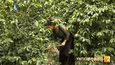 向往的田园生活打卡景点,向往的田园生活旅游