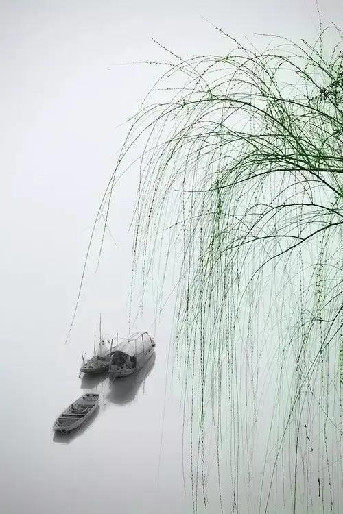 赞美春天柳树的优美句子,形容春天柳树的唯美句子