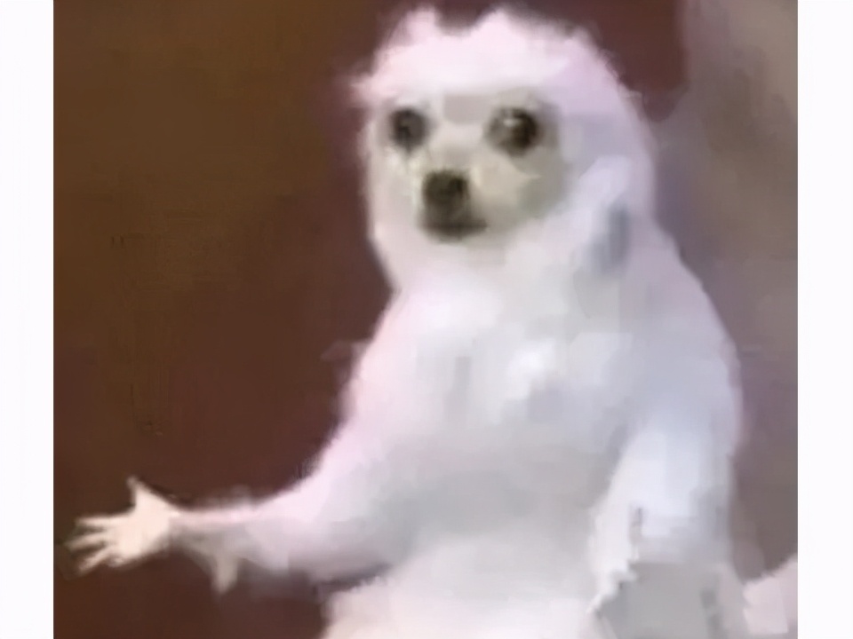 2023科隆游戏展发布会,2023德国科隆游戏展