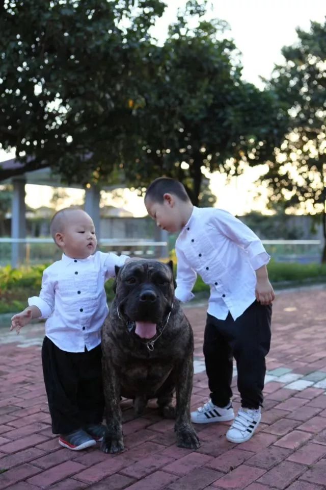 臻封面Vol.2|她是差不多小姐，更是狠角色美妈