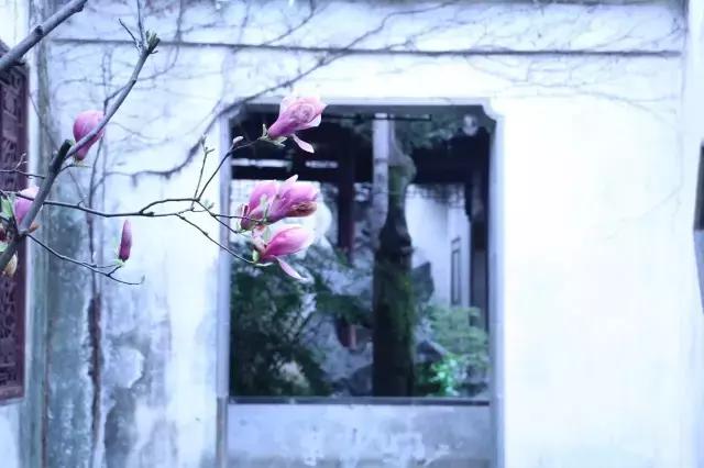 中国园林的诗情画意之美,虽由人作宛自天开的造园理念