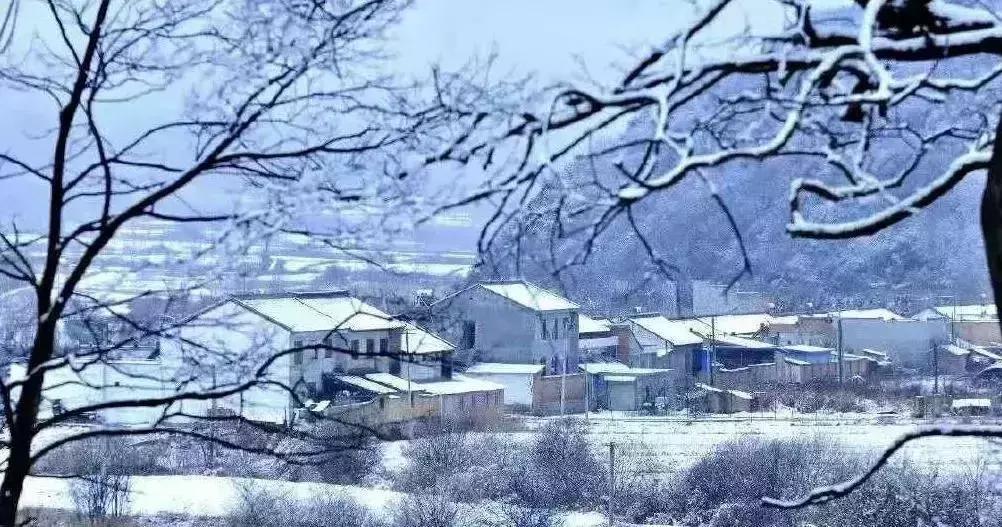 琼锅糖是陕西的吗,陕西琼锅糖是什么油做的