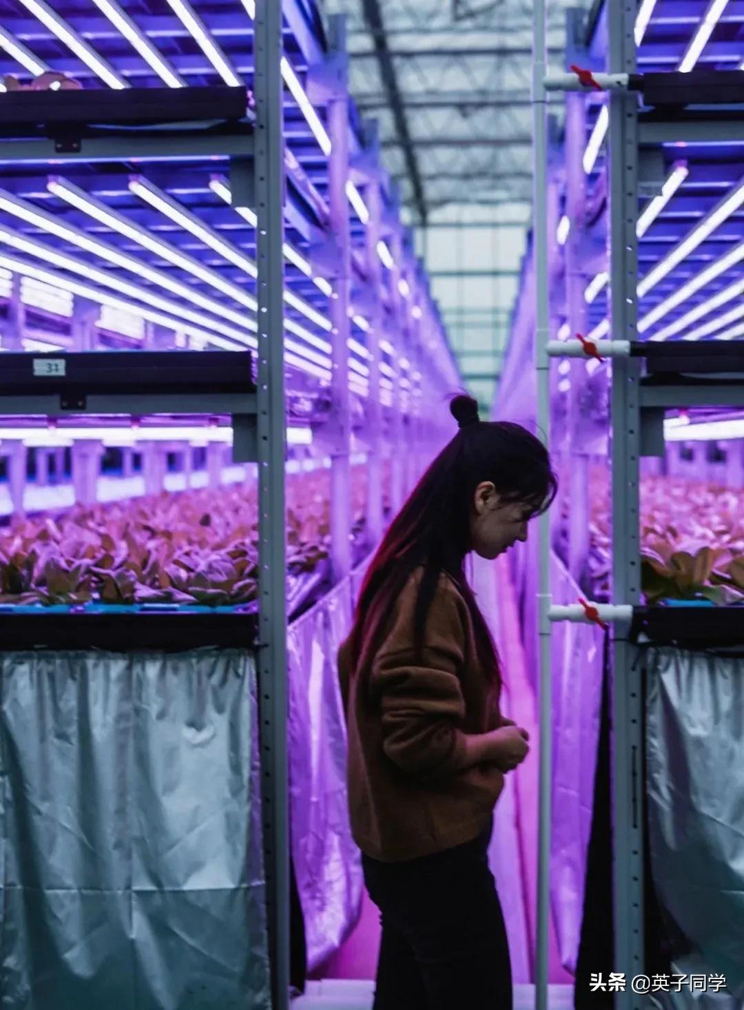 南昌农家乐采摘一日游,南昌采摘农家乐