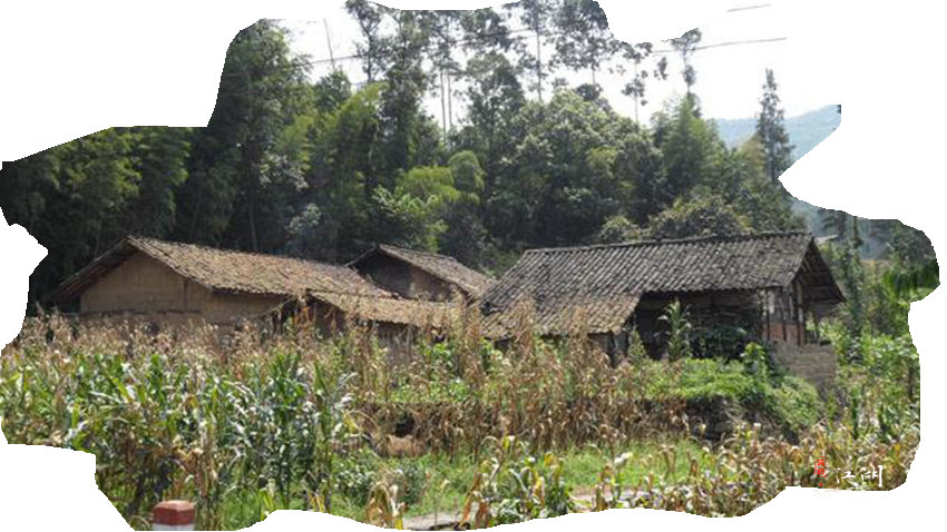 果断徒步旅行记,旅行日记户外徒步登山