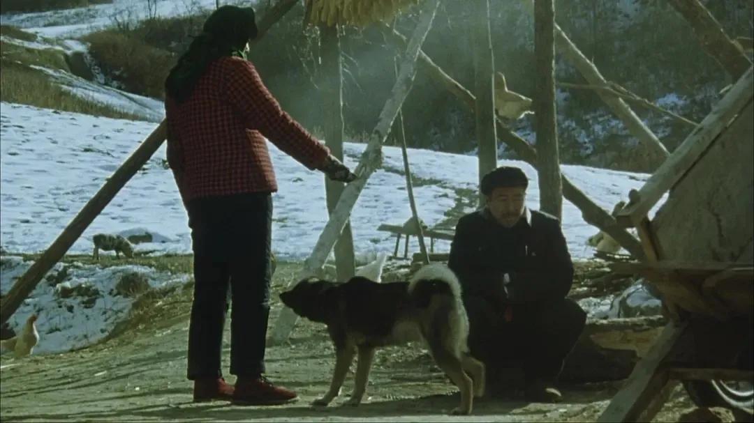 小舍得宋佳蒋欣,小舍得宋佳为什么是主演