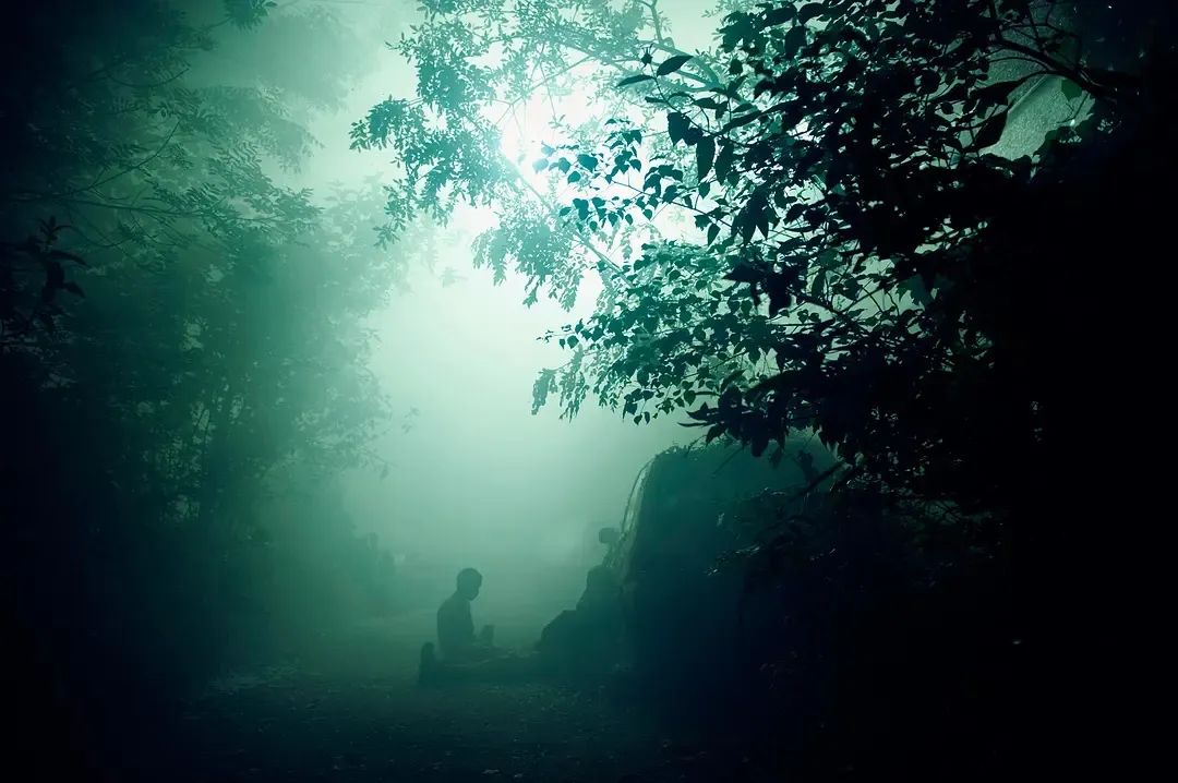 惊悚恐怖片推荐,恐怖电影推荐血腥起源