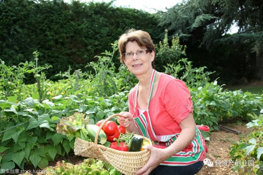 当下十大热门创业项目利润,2020必火的创业项目投资少