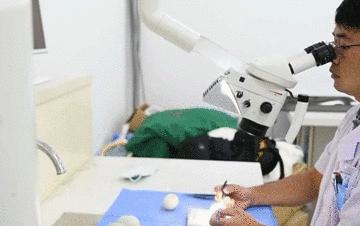 医学缝针练习,医生如何练习缝针