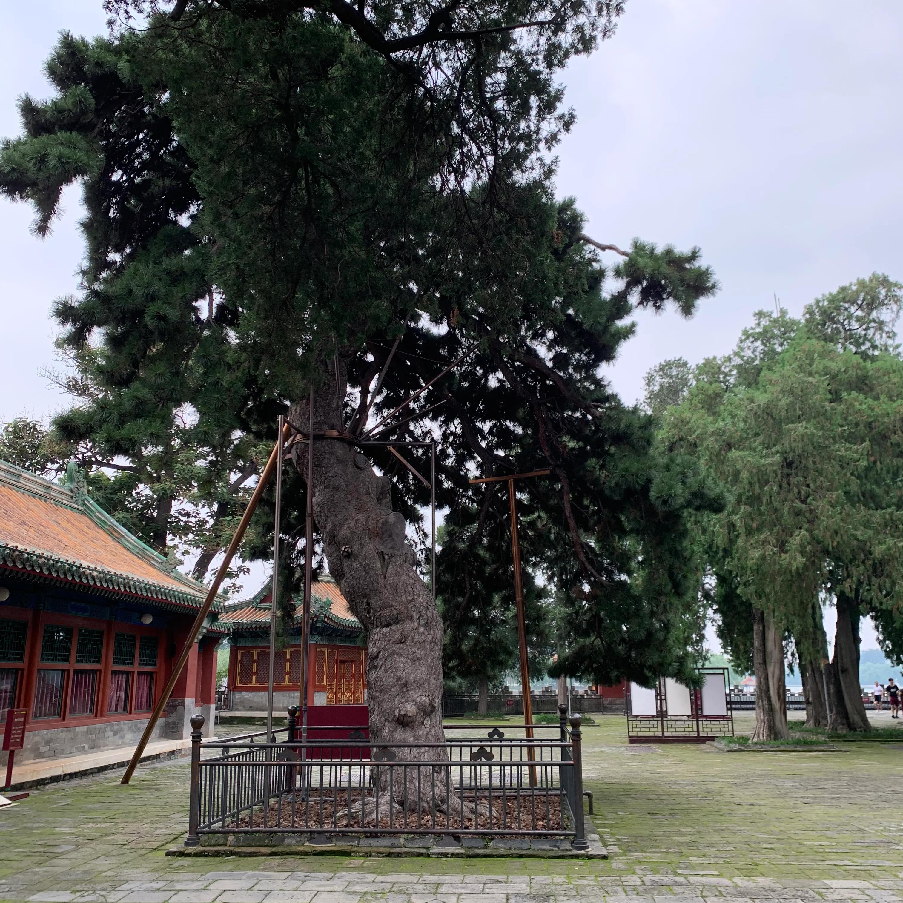 关于徐志摩的旅游景点,北京这个城市的名胜古迹