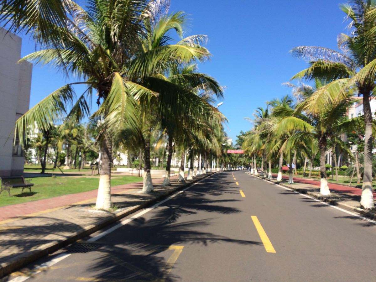 每日一校海南大学,每日一校大学详解