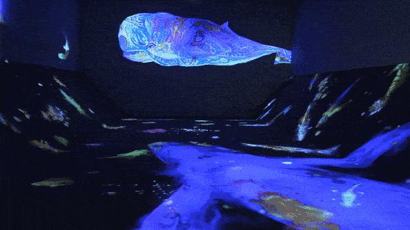 艺术展览行业最新趋势,艺术行业揭秘