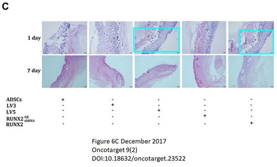 徐州sci论文投稿,徐州医科大学论文