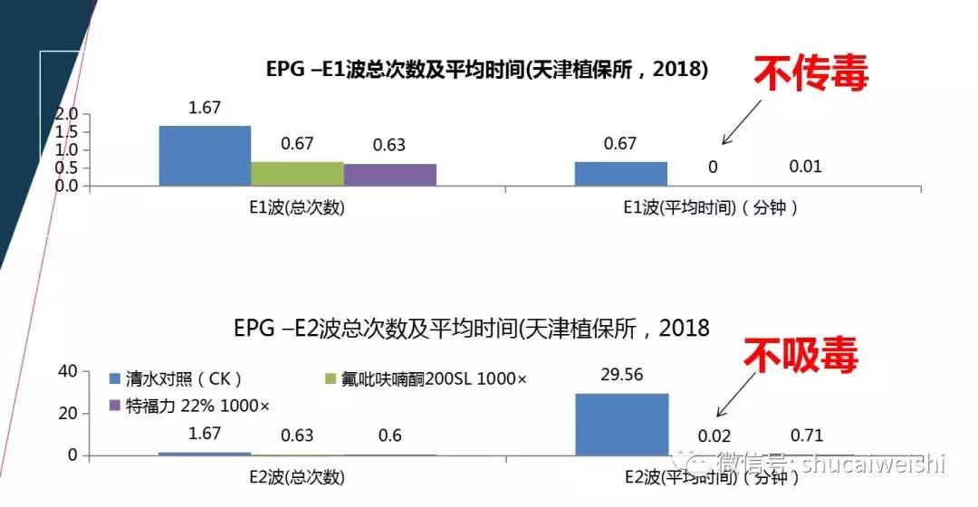拜耳消杀白粉虱,拜耳治白粉虱特效药