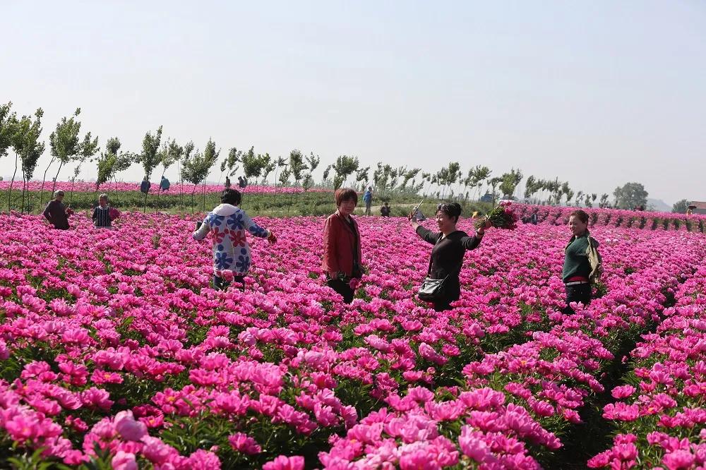 滁州琅琊区春季游,来滁州游琅琊山欣赏风景