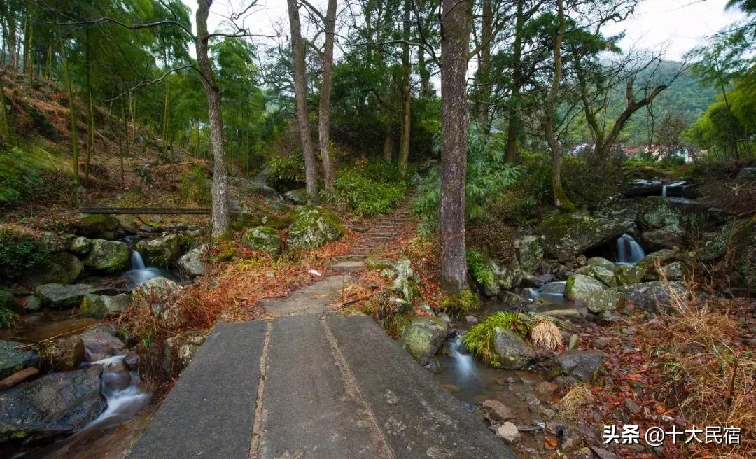 一年住200天的五星级酒店,一年住200天酒店有什么优惠方案