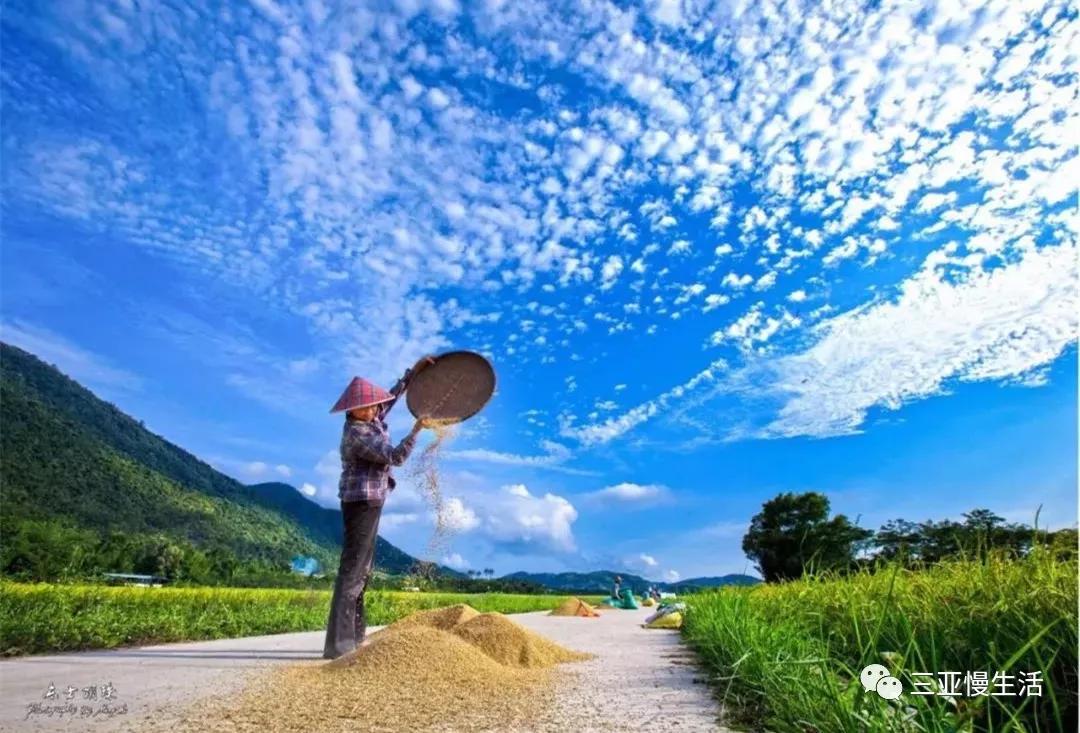 为什么要来三亚？这是我见过最好的答案