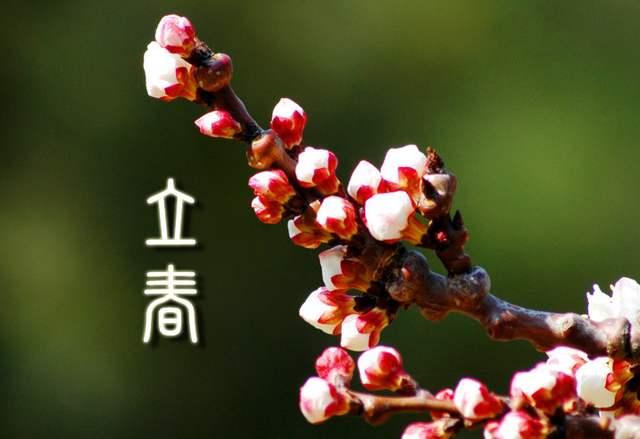 2020年双春闰月,2020是双春兼闰月吗