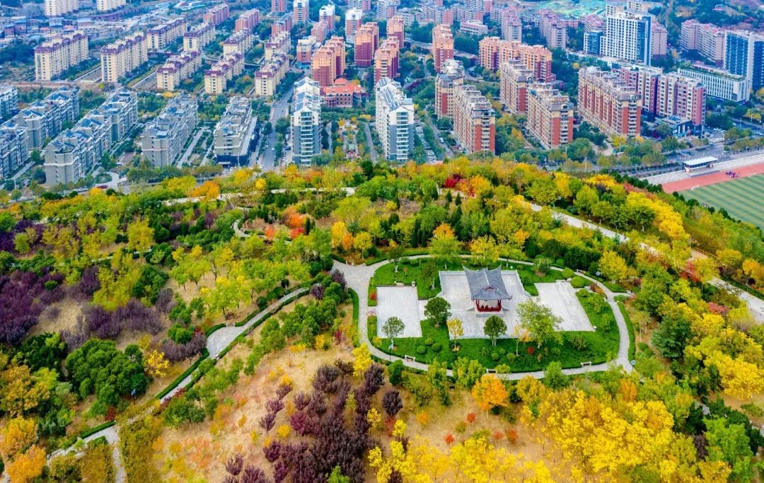 赏秋不远行就近赏秋景,赏秋何必去远方