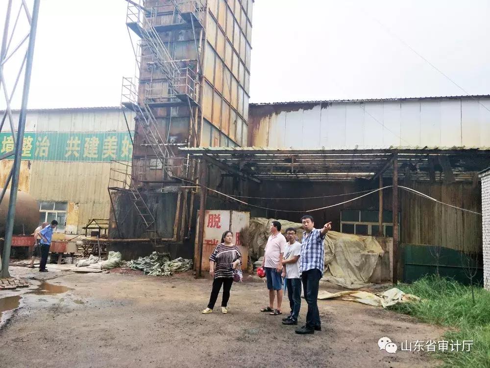 这一年收获颇丰,这一年收获了太多的温暖与感动