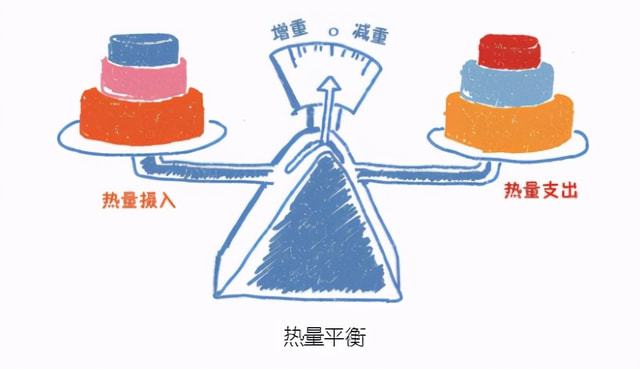 瘦子怎么吃才能长胖？瘦人增肥饮食3要素，全做到了你就能长胖