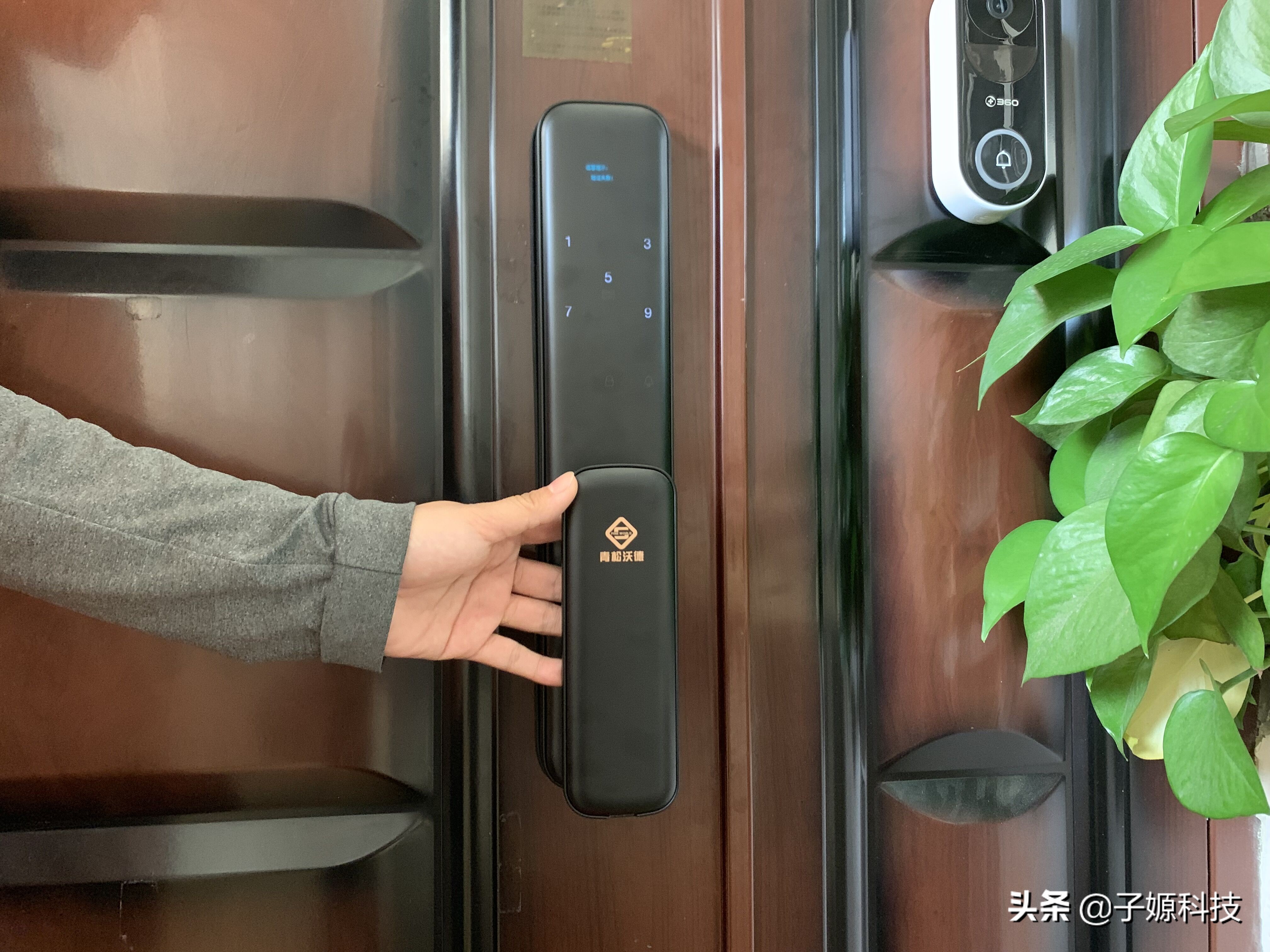 青松沃德l11全自动,青松沃德智能门锁l11多少钱