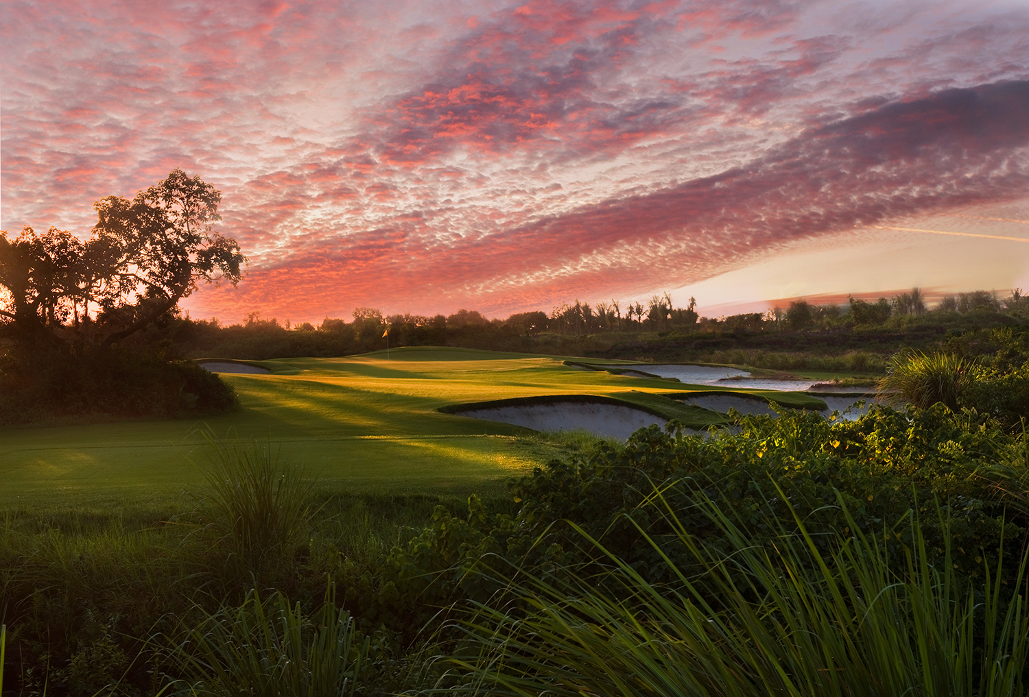 海口高尔夫超级联赛,海口观澜湖高尔夫球王争霸赛