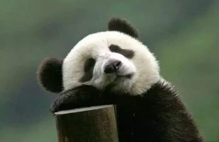 美瞳角膜损伤,美瞳选的不对会导致角膜受损吗