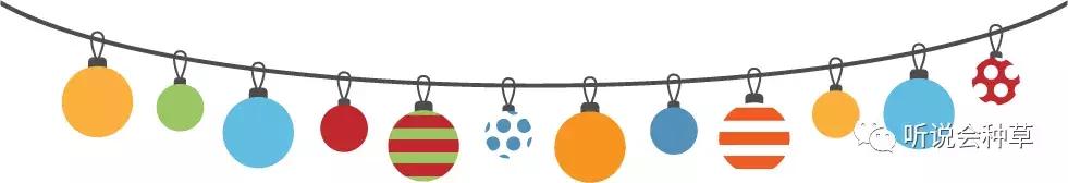 宝宝海藻油dha推荐,bioisland婴儿dha海藻油怎么样