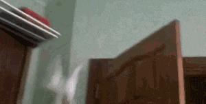 搞笑gif你们这些城里人太会玩了,搞笑gif逗比的世界你永远理解不了