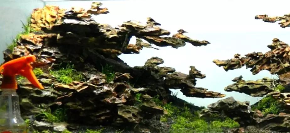 草缸造景教程：胶水造景太温柔，男人就该上电钻