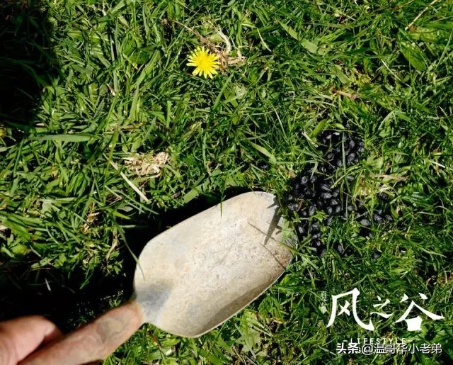 十几年的夫妻感悟,十年的老华人含泪感悟