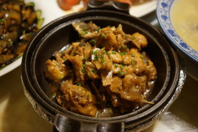 一定是特别的缘分——帕劳,再遇见「周若雪Patty」·上