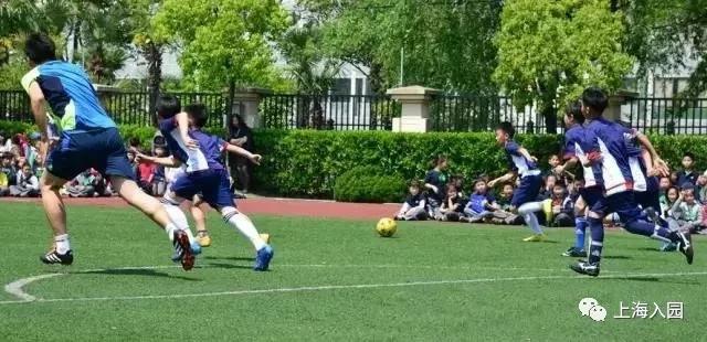 浦东新区足球特色小学,浦东新区特色小学