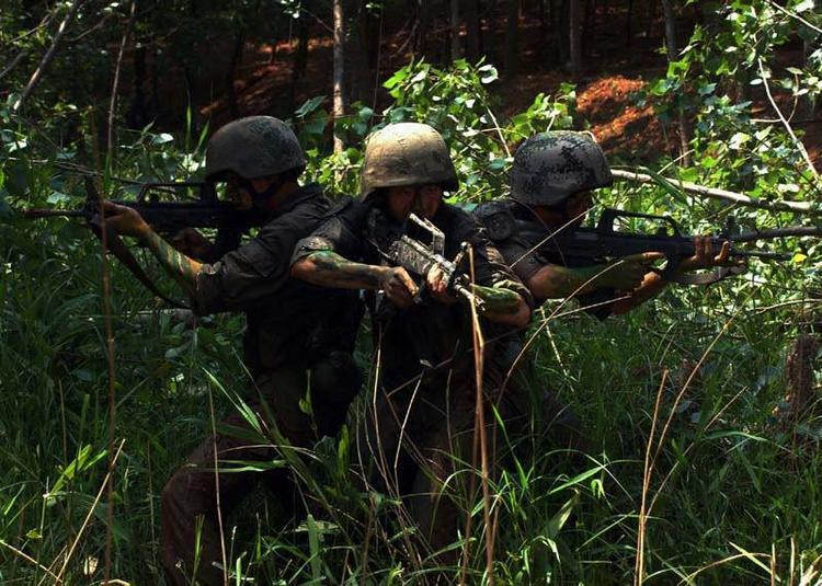 十大猛虎团是哪十团,十大猛虎团武警有几个