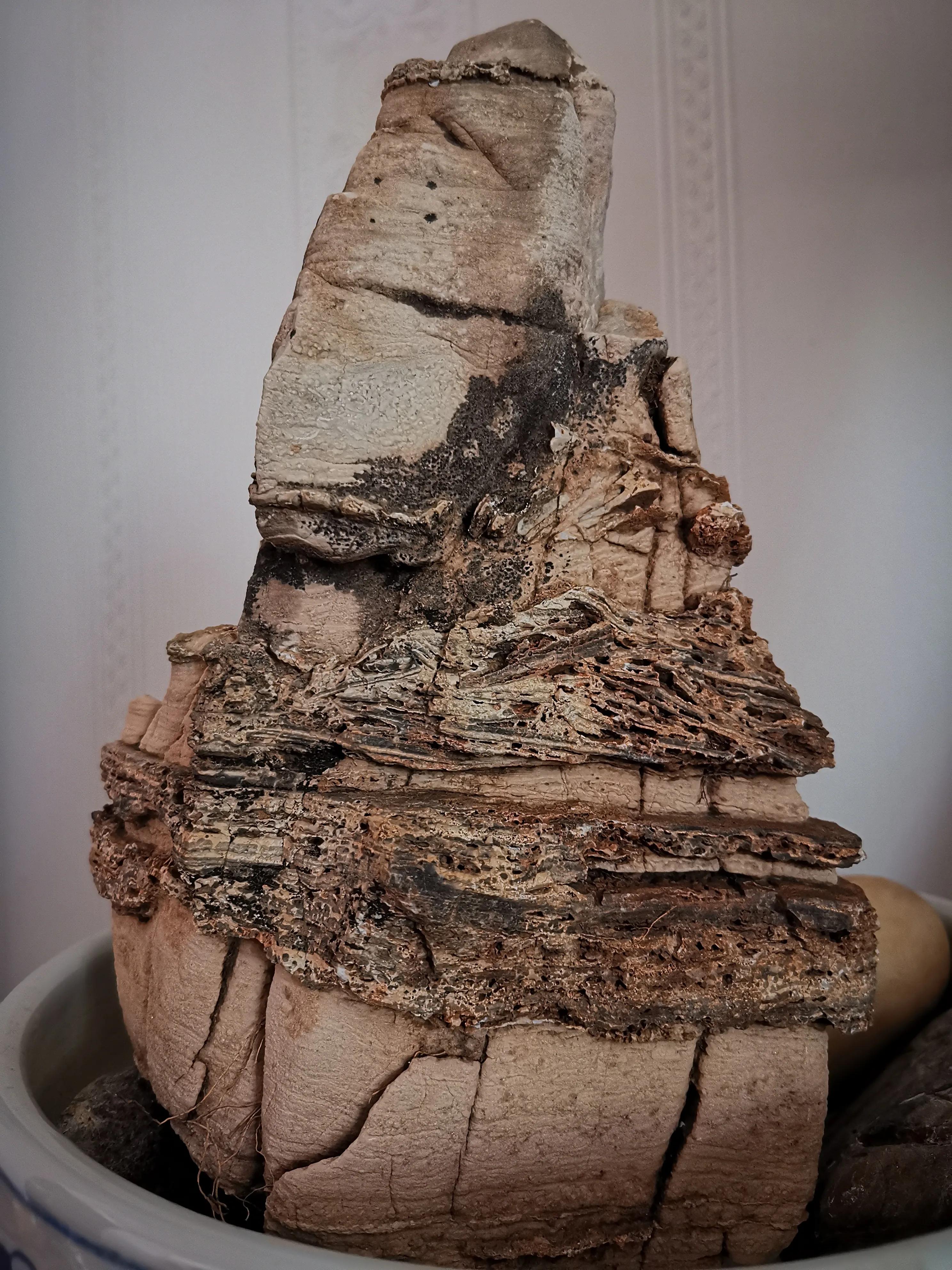 读语文课堂教学研究类书籍读后感,语文学科教研感想