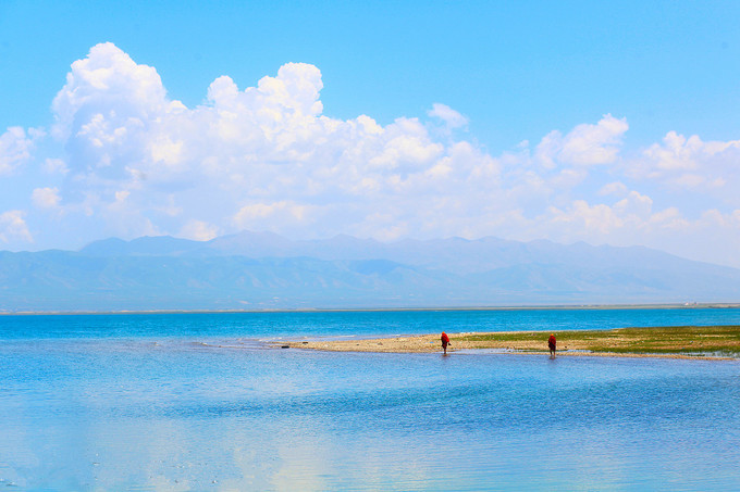 大美青海人间仙境青海湖,青海骆驼青海湖