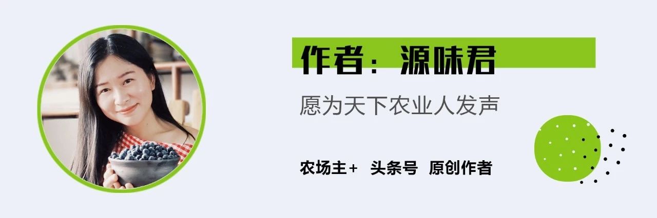 大型农场建造,家庭农场可以放置集装箱做民宿