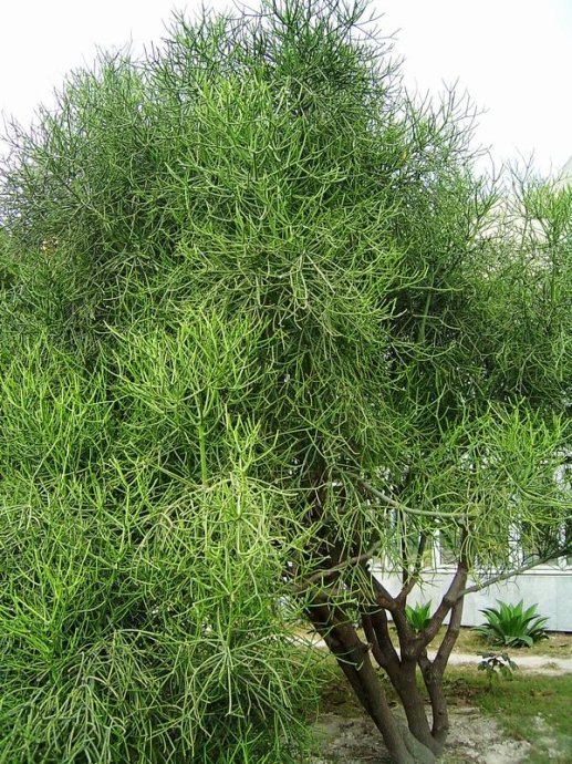 看世界图片素材库,看世界图片背景