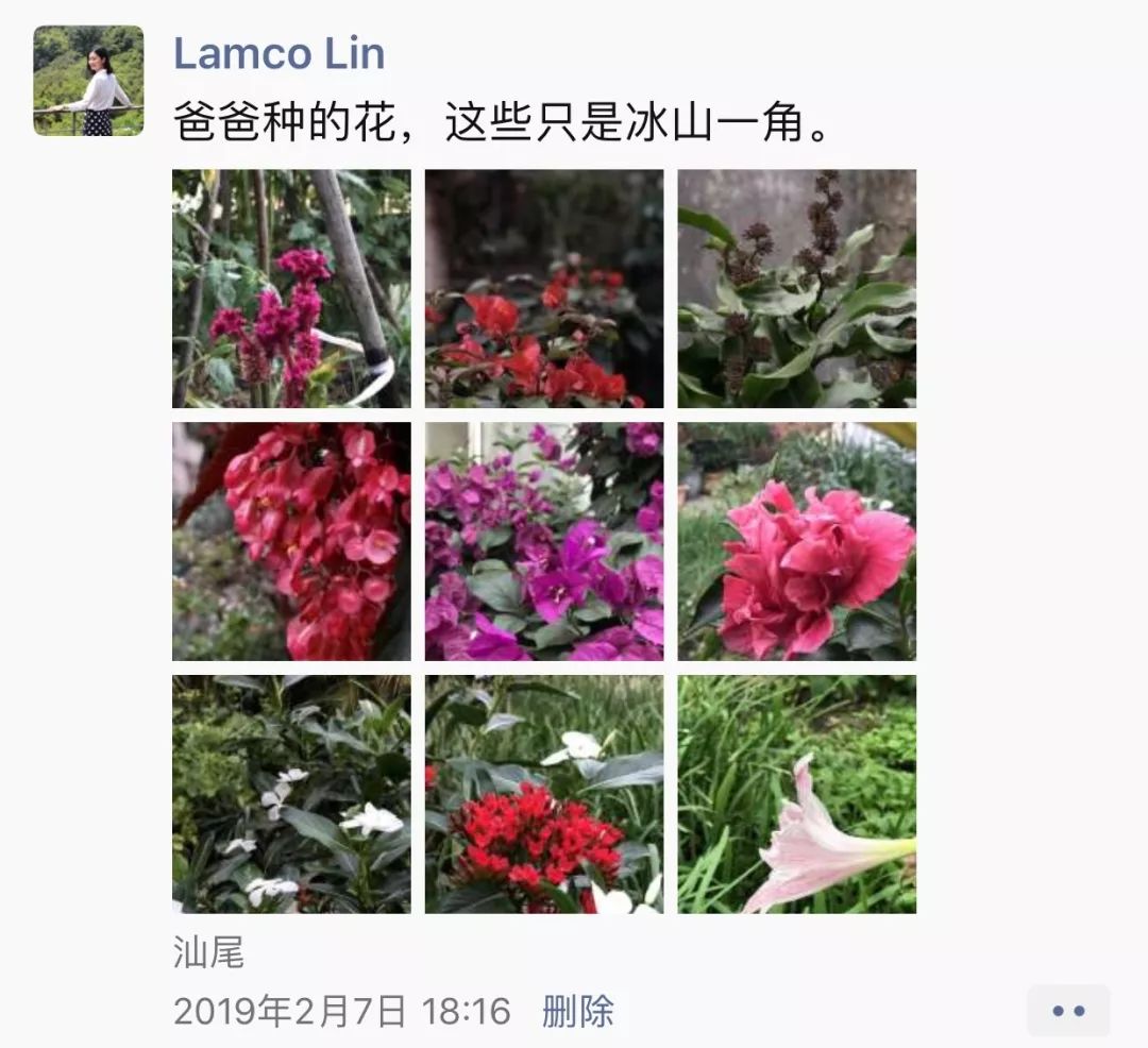 算命说上辈子是花童是什么意思,上辈子是花童是什么意思