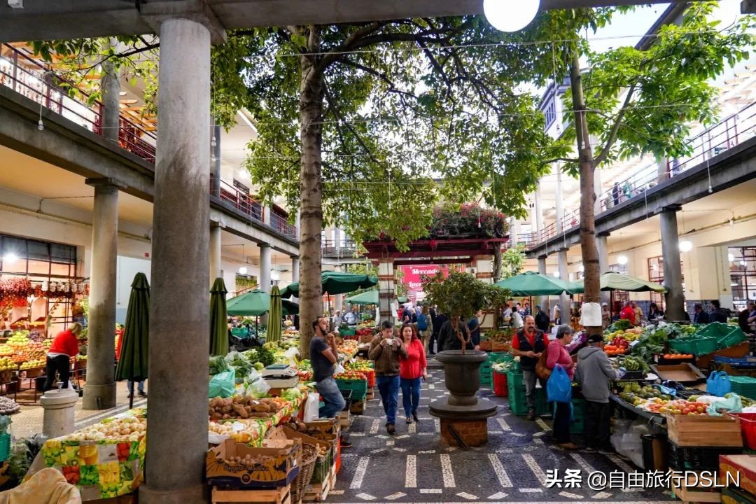 葡萄牙c罗马德拉岛,葡萄牙马德拉岛最新疫情