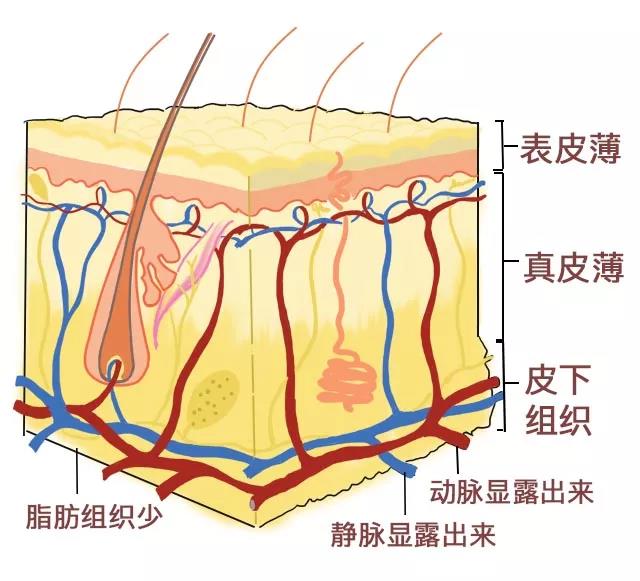 眼霜去黑眼圈紧致抗皱熬夜神器,943熬夜眼霜适合什么类型的黑眼圈