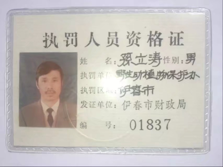 90年代伊春往事,伊春林区往事