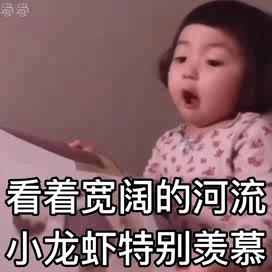 表情包：怎么样，我们河好吧