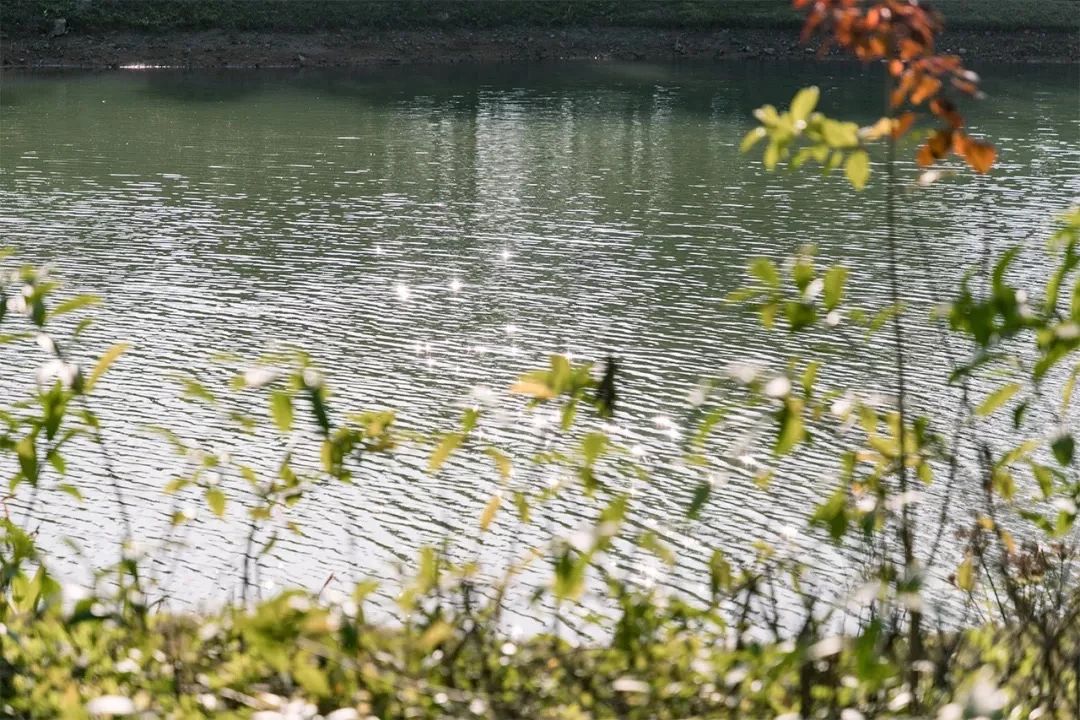 最美湖泊小众风景,最美湖泊西湖