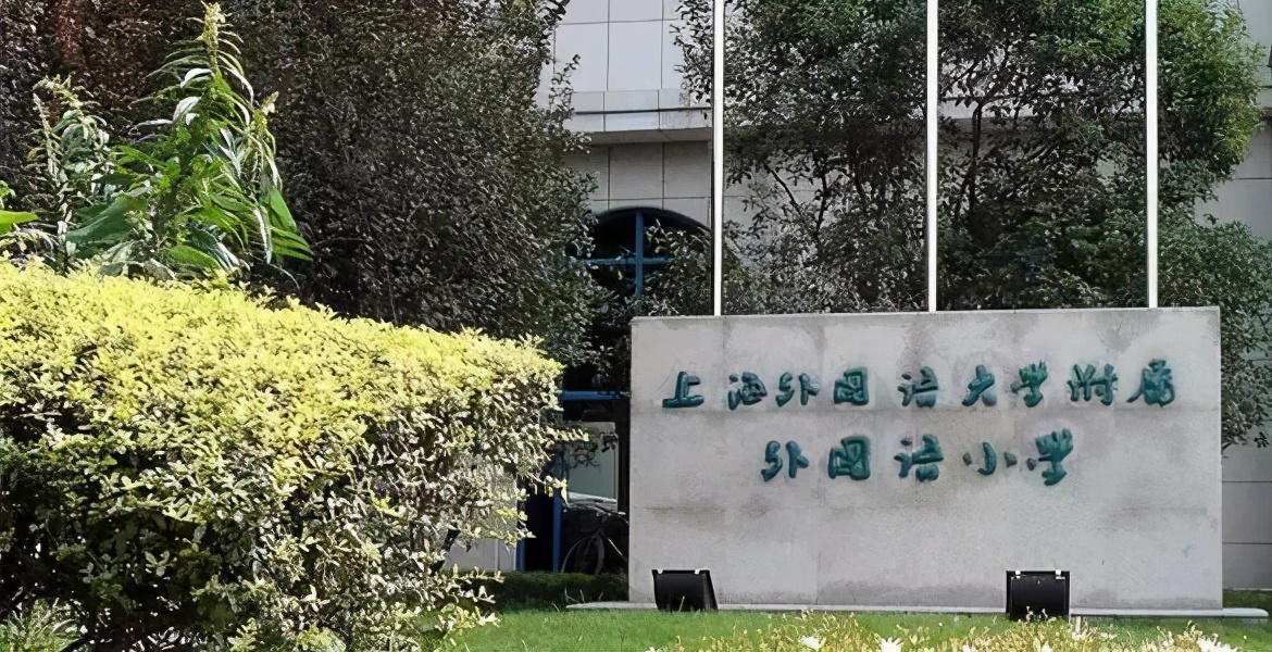 闵行鸡血学校,沪上最鸡血十所小学