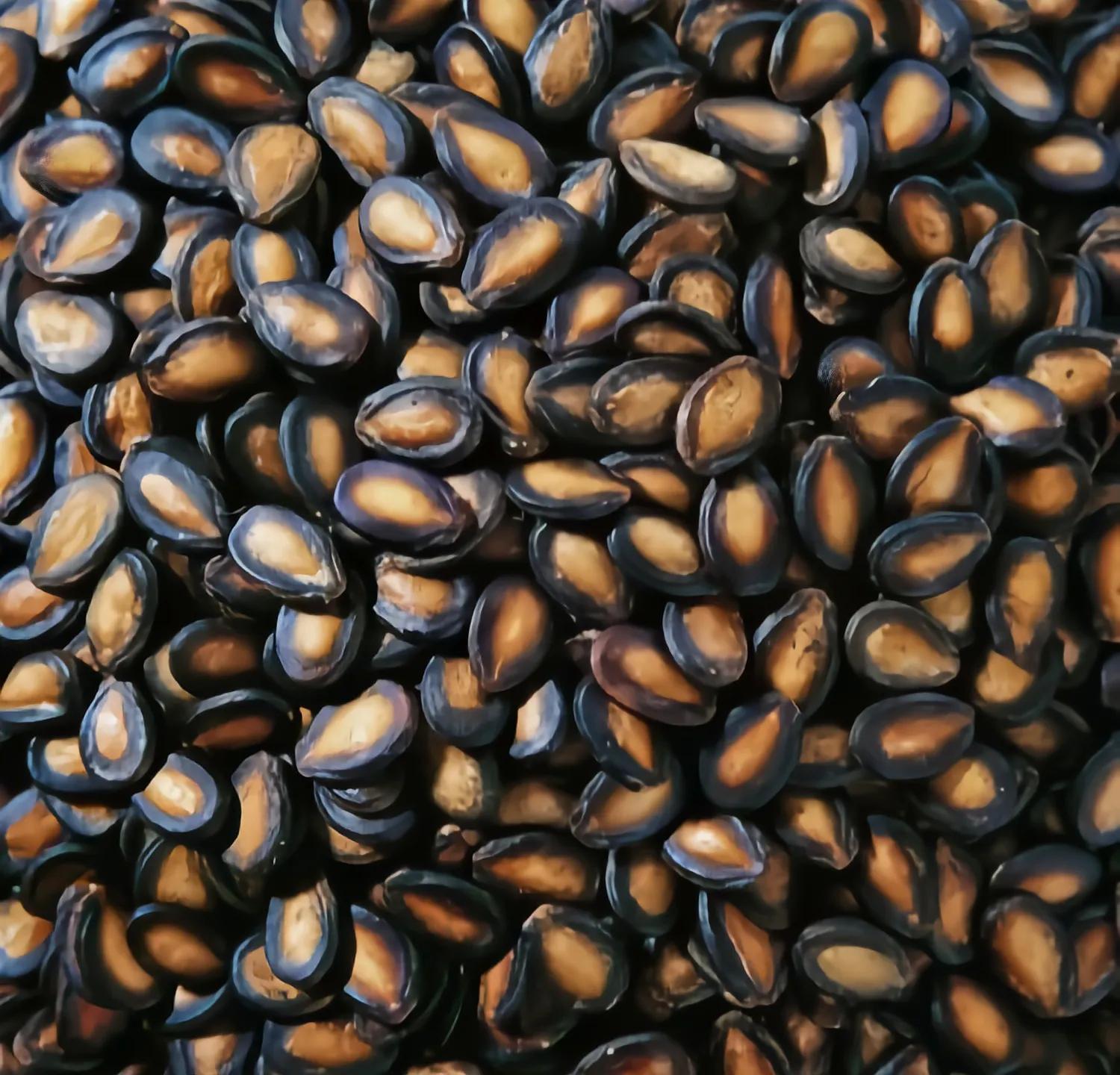 这个国民级零食，潘金莲用来卖弄风情，清朝人靠它赚翻了