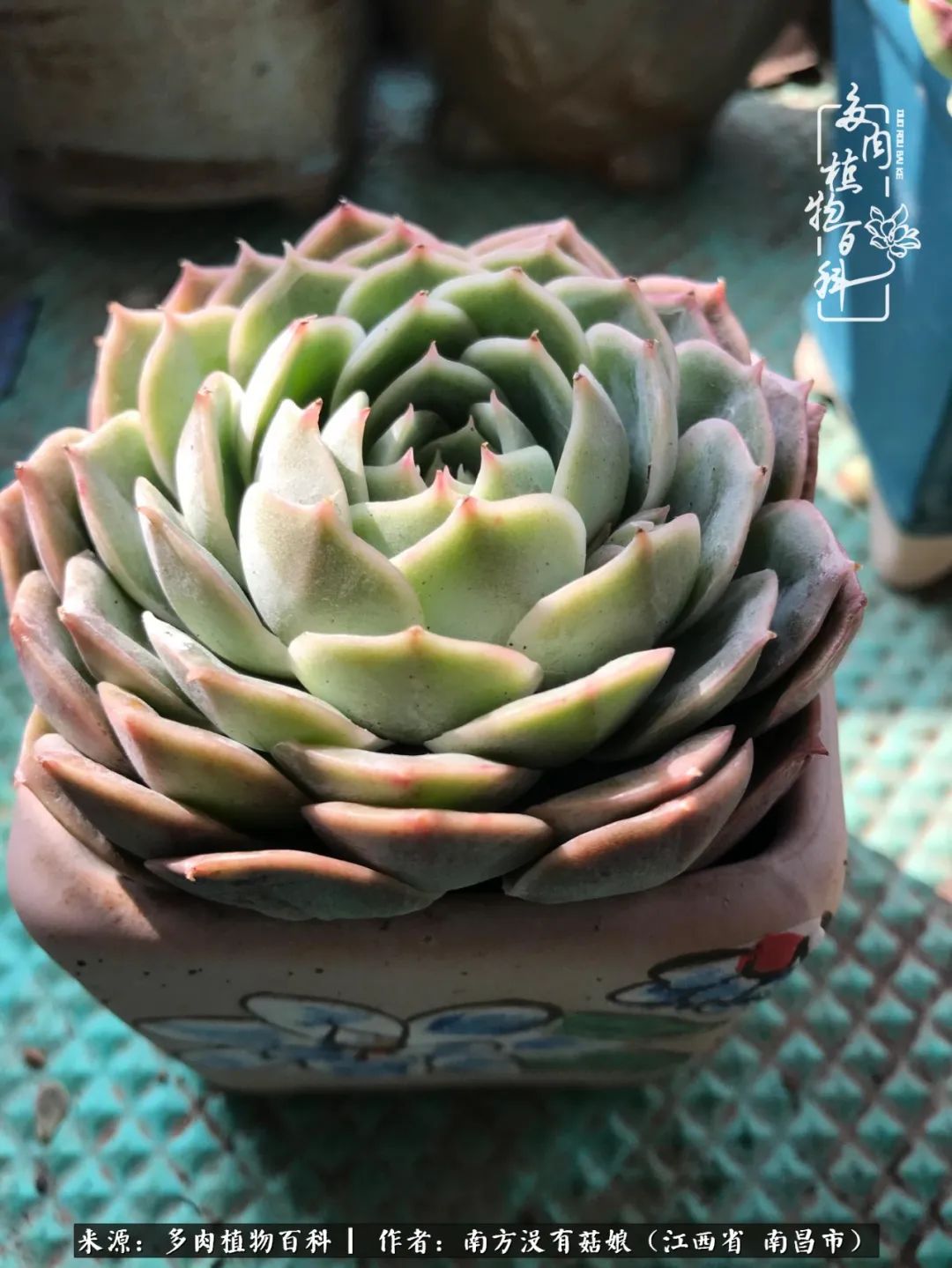 既见云胡不喜,既见君子云胡不喜毛笔楷书