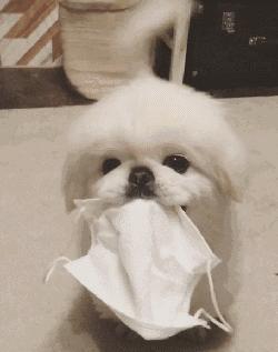 完全相关关系与明显因果关系,相关关系与因果关系的区别和联系