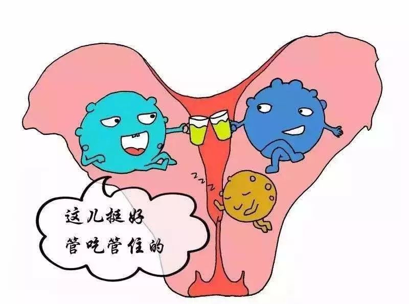 女孩子游泳生病,女生游泳得皮肤病